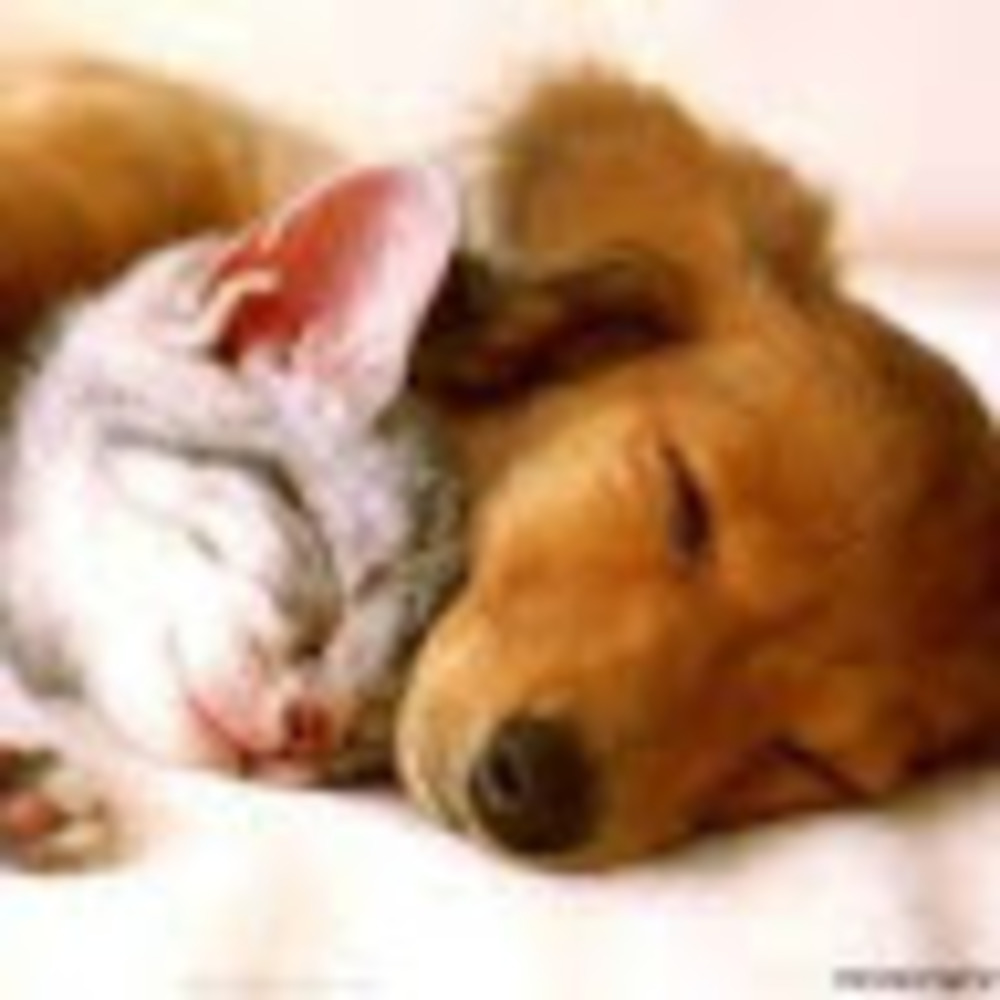 Meet your Posher, Kathryne